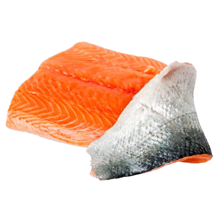 Salmon Camanchaca with Skin VRIES❄️ Product Image