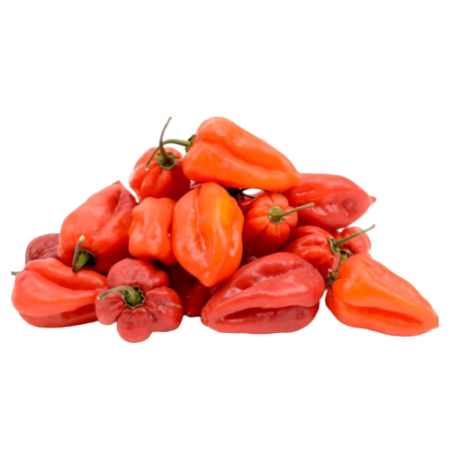 Peper Rood Product Image
